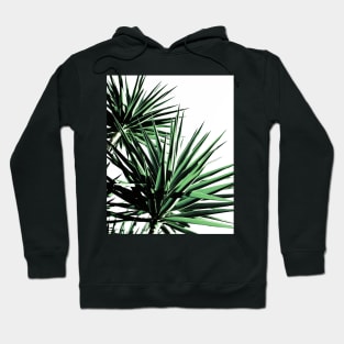 Palms Hoodie